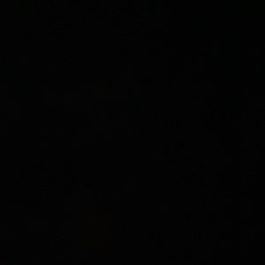 Meet your Posher, Brandi